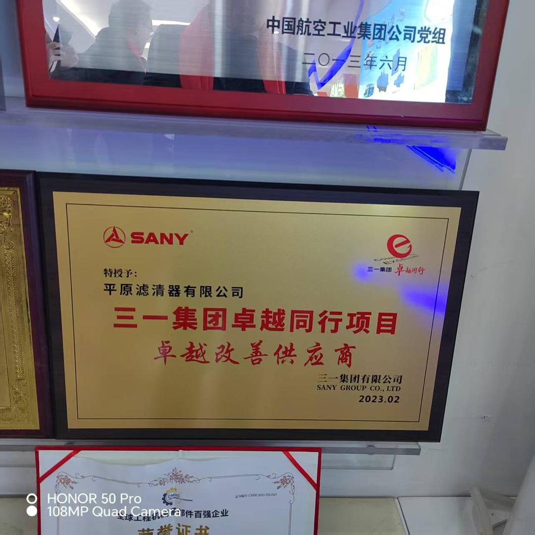 Fournisseur d'amélioration d'excellence - Sany